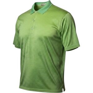 Cunningham Golf Salem Glen Club Shirt Men's Lg Polo Green Stripe Short Sleeve
